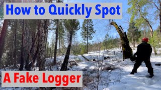 How Anyone Can Quickly Spot a Fake Logger