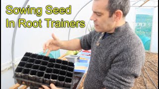 Sowing Seed For Winter   Spring In Root Trainers