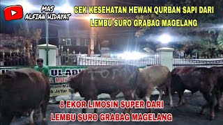 CEK KESEHATAN HEWAN QURBAN SAPI DARI LEMBU SURO GRABAG MAGELANG