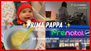 VLOGMAS #1 PRIMA PAPPA DI BENNY🥹VLOGMAS #1 #newborn #natale2023 #vlogmas