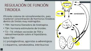 Fx tiroidea ~ Fx pancreática - Unidad 2 - Patología clínica - sem 10