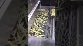 FROZEN FRIES丨HOW TO FREEZE FRENCH FRIES OR POTATO CHIPS丨STORE FRENCH FRIES