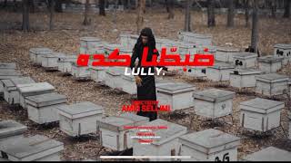 Lully - ضبطنا كده ( Official Video ) Prod By : dannilo.mp3