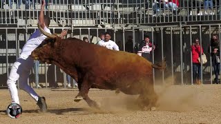 SON DE OTRA PASTA ❤️✅ CONCURSO DE RECORTES DE TOROS MONCADA 2021    TOROS  DE RETA   CASTA NAVARRA