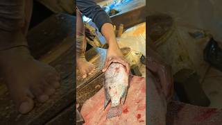 Amazing Tilapia Fish Cutting Skills In Bangladesh Fish Market #shorts