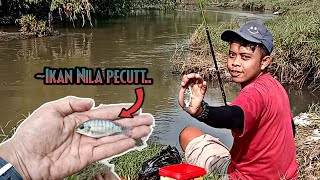 Ikan Nila Juga Pengen Ngerasain Tehnik Pecut Ternyata || Mancing Bader