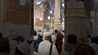 روضہ رسول کی زیارت و سلام کیلئے حاضری/ Roza Rasool per hazri inside Masjid nabvi #beautiful #video