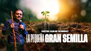 Pastor Carlos Bermúdez - La pequeña gran semilla