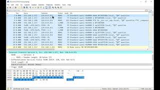 investigating network loops