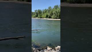 Boise River / Out Walking / Healing Sounds of Nature /