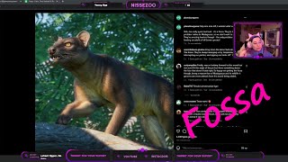 Let's Talk Fossa