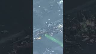 Aerial of the Japan Airlines aircraft wreckage from Tuesday's collision.#shorts #news