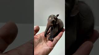 World's Smallest Baby Elephant Fits on a Human Hand! 🐘✨ #cute #animals #ai #elephant #viralshorts