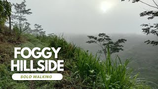 Watch out slipping! Walking on the Misty Hillside