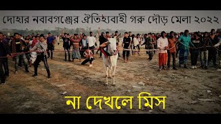 দোহার নবাবগঞ্জের ঐতিহ্যবাহী গরু দৌড় মেলা ২০২২