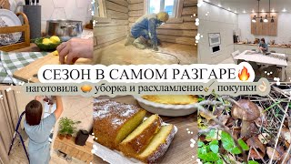 СЕЗОН В САМОМ РАЗГАРЕ🔥 НАГОТОВИЛА🥧 УБОРКА ПОСЛЕ ПРАЗДНИКА🧹 ПРОДОЛЖАЮ РАСХЛАМЛЕНИЕ❤️ ПОКУПКИ🛍️