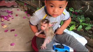 Today lovely kids enjoy play with cute baby monkey Ella | Kids with monkey Ella