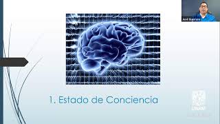 Diplomado de Neuroanatomía Funcional en Línea