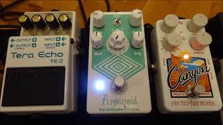 Earthquaker Devices Arpanoid, EHX Canyon Delay & Boss TE-2 - ambient guitar demo