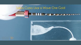 Saiba Como Usar a Wave One Gold