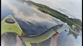 KAYAK FISHING. Surprise Catch in a Central Ohio Swamp