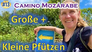 #13 Camino Mozarabe 2022 - Etappe 10.2|| Alleine Pilgern auf dem Jakobsweg 2022|