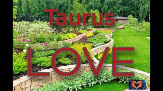 Taurus LOVE - Need to find peace with in...