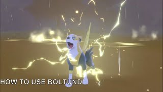 How to use Boltund in Pokémon Sword and Shield