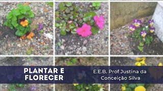 Plantar e Florescer - E.E.B Justina da Conceição Silva