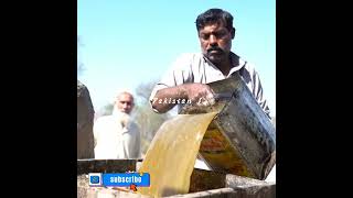 Gur/Jaggery Making Process from Sugar Cane| Traditional Sweet of Pakistan, Part 1 #Beautyofpakistan1