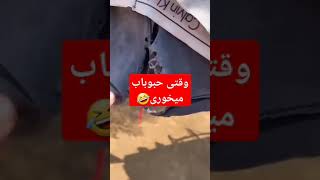 صدای دلنشین حبوبات 😆 البوم درد مشترک