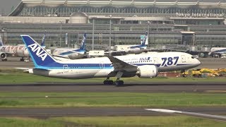 羽田空港JALさくらラウンジよりANA787ハミングバード