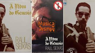 07 I Don't Really Need You Anymore  Raul Seixas   1988   A Pedra Do Genesis