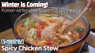 [Eng] Spicy Chicken Stew 닭매운탕 만들기 / 닭볶음탕과는 다른 매력의 얼큰 칼칼함