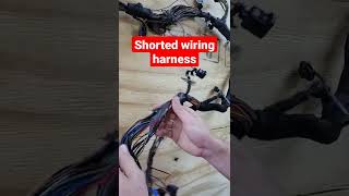 Find a short in your wiring harness from your ECM/PCM #wiringharness #shorts #auto #carproblems #car