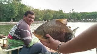 Quem disse que só de peixe grande ,se faz uma ótima #pescaria.