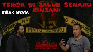 TERSESAT DI JALUR SENARU RINJANI: DIPUTARI DEDEMIT PENUNGGU POS 2 | PART 1