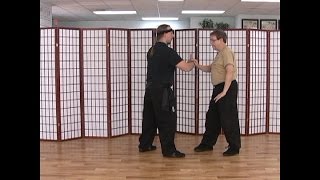 Taiji (Tai Chi) Partner Exercises:  Pushing Hands with Intent, First Level.