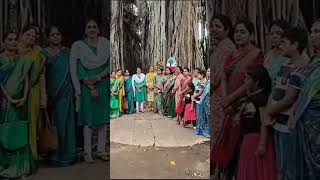 vrikshabandan program at140 years old Tree