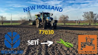 Setí hrachu | New Holland T7030💙🤍 | Čehovice