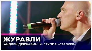 Андрей Державин - Журавли (Live "Большая рыба")