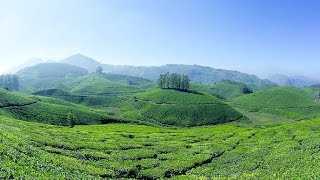 Munnar tea garden drive | Thekkadi to munnar route | Kerala tourism