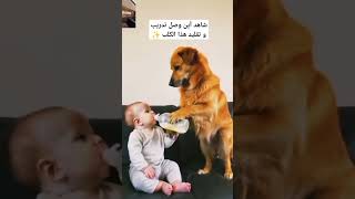 #trending #اكسبلور #ترند #movie #ضحك #تيك_توك #cat #dog #doglover #dogs #shorts #viralvideo #like