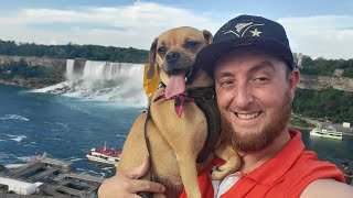 Coco Adventures in Niagara Falls August 7th 2022