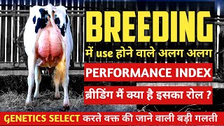 International Breeding Performance Index | TPI, NVI, RzG, NTM, BPI, LPI | VetVlogs