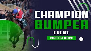 Champion Bumper | Cheltenham Champion Bumper | Cheltenham Festival 2023