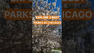 Explore 3 Best Parks in Chicago🌳 #chicago #thingstodoinchicago #chicagolife  #parks #shorts