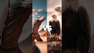 Wildlife Showdown: Epic Battles Between Birds and Reptiles!"