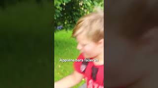 Pallar äpplen från varje träd i Byn #shorts