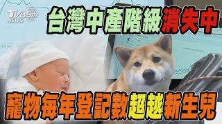 台灣中產階級消失中 寵物每年登記數超越新生兒｜十點不一樣 20241112@TVBSNEWS01